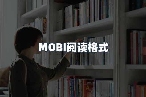 外文电子书系列